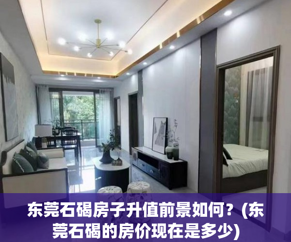东莞石碣房子升值前景如何？(东莞石碣的房价现在是多少)