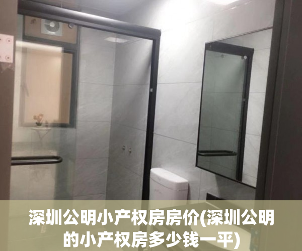 深圳公明小产权房房价(深圳公明的小产权房多少钱一平)