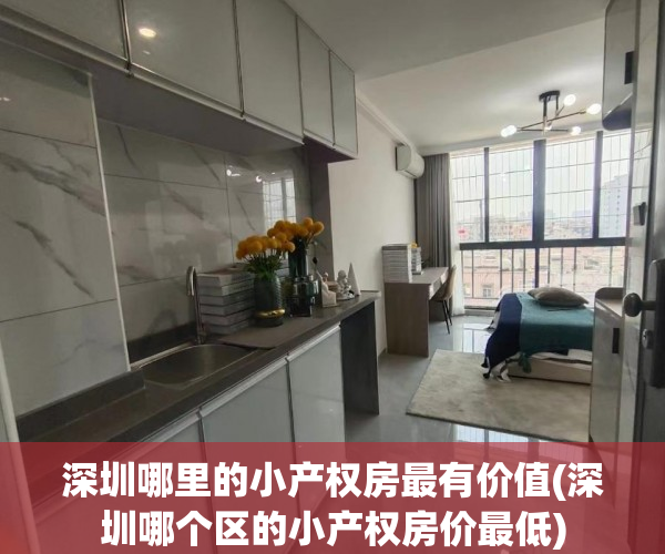 深圳哪里的小产权房最有价值(深圳哪个区的小产权房价最低) 深圳哪里的小产权房最有价值(深圳哪个区的小产权房价最低)