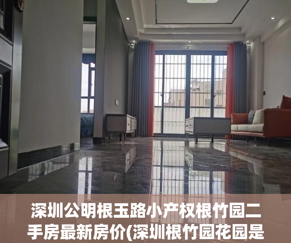 深圳公明根玉路小产权根竹园二手房最新房价(深圳根竹园花园是小产权吗)