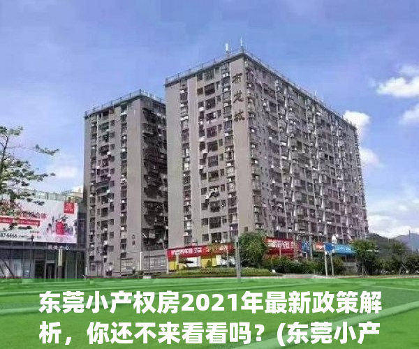 东莞小产权房2021年最新政策解析，你还不来看看吗？(东莞小产权房·.新开盘)