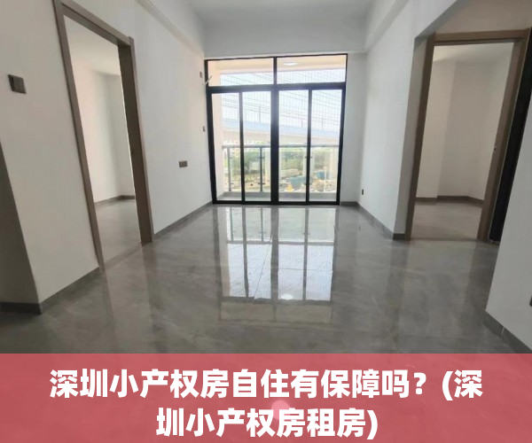 深圳小产权房自住有保障吗？(深圳小产权房租房)