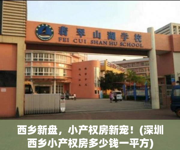 西乡新盘，小产权房新宠！(深圳西乡小产权房多少钱一平方)