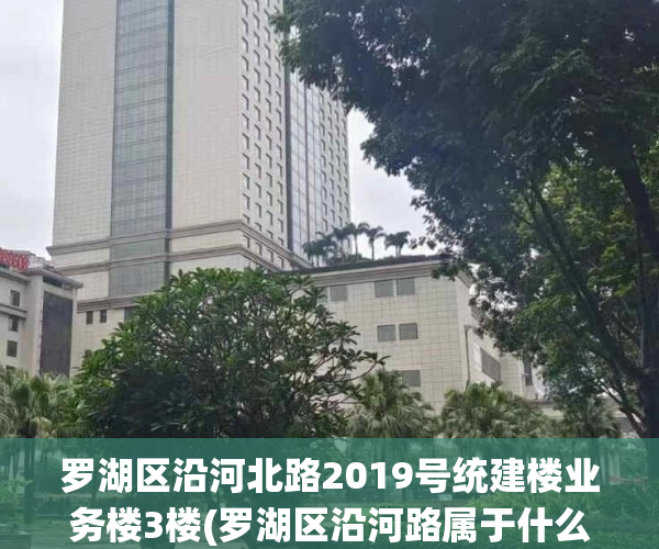 罗湖区沿河北路2019号统建楼业务楼3楼(罗湖区沿河路属于什么街道)