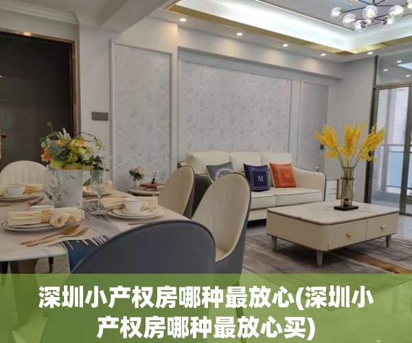 深圳小产权房哪种最放心(深圳小产权房哪种最放心买)