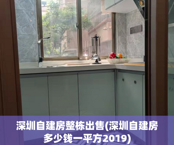 深圳自建房整栋出售(深圳自建房多少钱一平方2019)