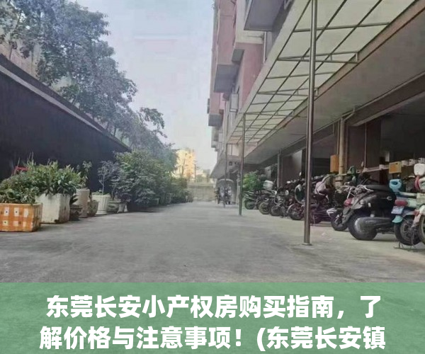 东莞长安小产权房购买指南，了解价格与注意事项！(东莞长安镇小产权房多少钱一平方)