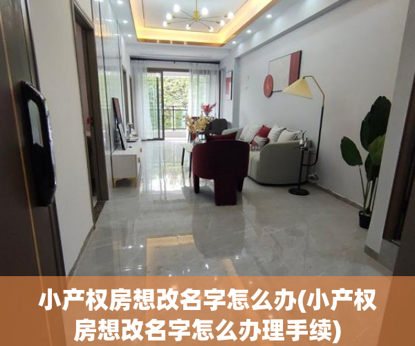 小产权房想改名字怎么办(小产权房想改名字怎么办理手续)