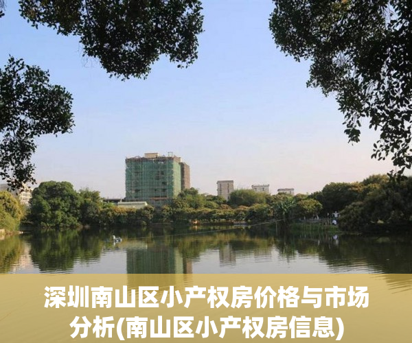 深圳南山区小产权房价格与市场分析(南山区小产权房信息)