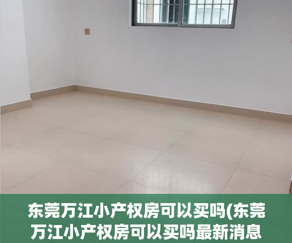 东莞万江小产权房可以买吗(东莞万江小产权房可以买吗最新消息)