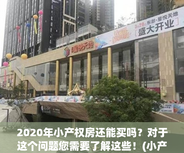 2020年小产权房还能买吗？对于这个问题您需要了解这些！(小产权2020年将何去何从)