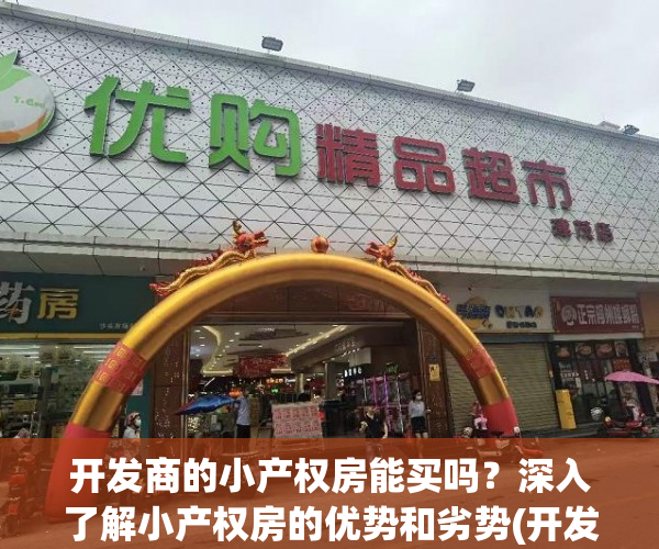 开发商的小产权房能买吗？深入了解小产权房的优势和劣势(开发商建的小产权怎么回事)