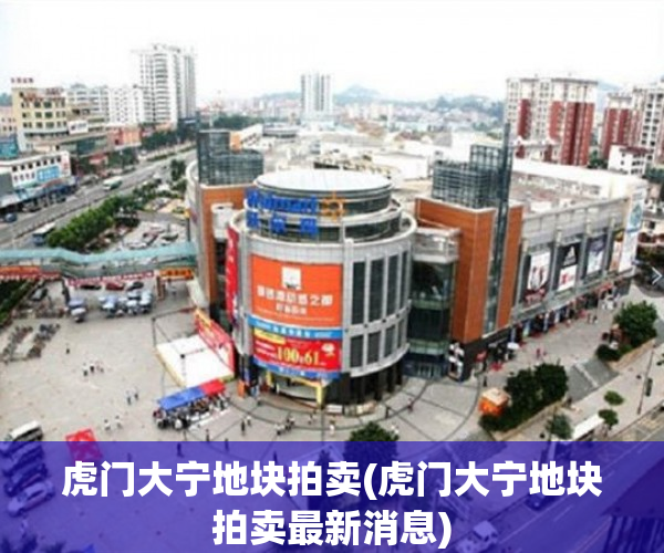 虎门大宁地块拍卖(虎门大宁地块拍卖最新消息) 虎门大宁地块拍卖(虎门大宁地块拍卖最新消息)