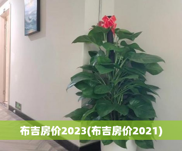布吉房价2023(布吉房价2021)
