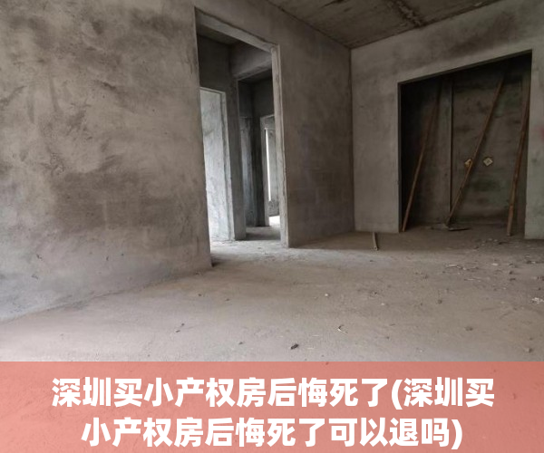 深圳买小产权房后悔死了(深圳买小产权房后悔死了可以退吗) 深圳买小产权房后悔死了(深圳买小产权房后悔死了可以退吗)