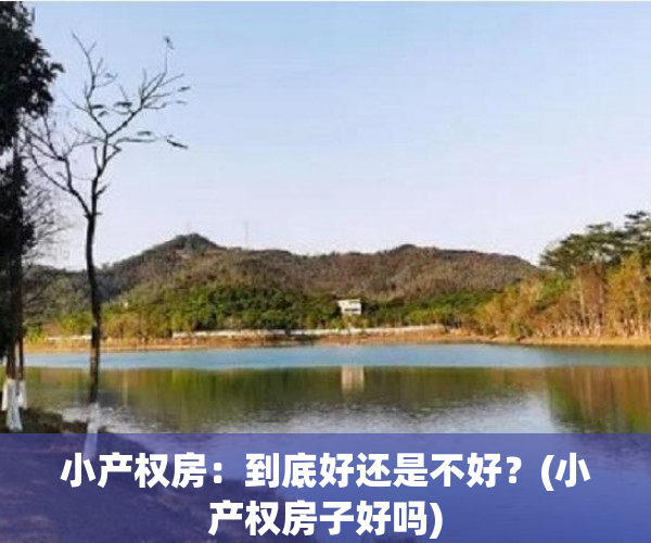 小产权房：到底好还是不好？(小产权房子好吗)