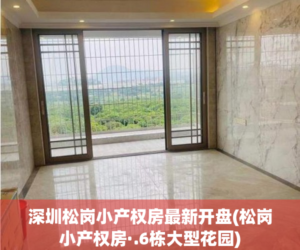 深圳松岗小产权房最新开盘(松岗小产权房·.6栋大型花园) 深圳松岗小产权房最新开盘(松岗小产权房·.6栋大型花园)