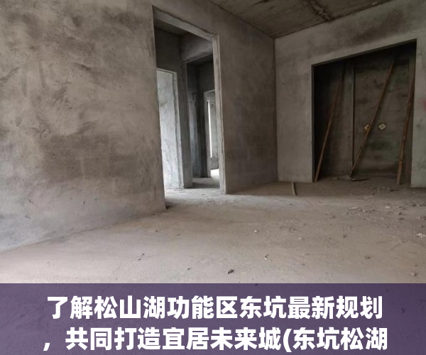 了解松山湖功能区东坑最新规划，共同打造宜居未来城(东坑松湖湾)