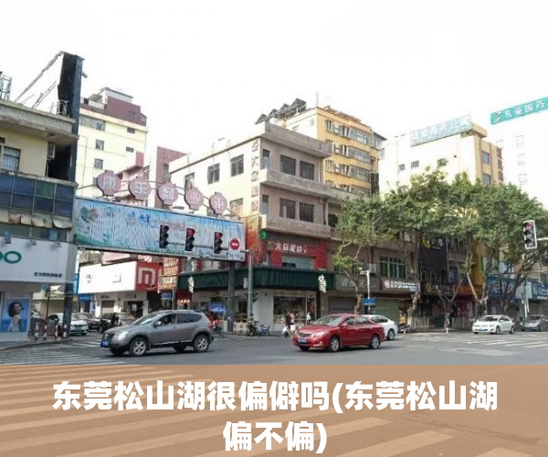 东莞松山湖很偏僻吗(东莞松山湖偏不偏)