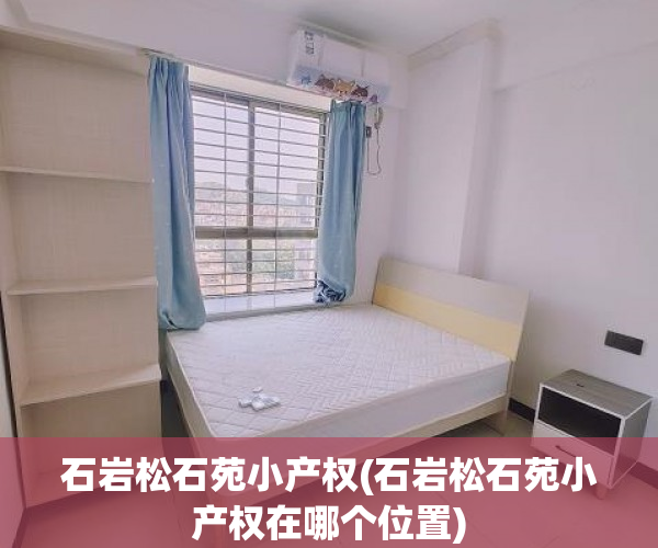 石岩松石苑小产权(石岩松石苑小产权在哪个位置) 石岩松石苑小产权(石岩松石苑小产权在哪个位置)