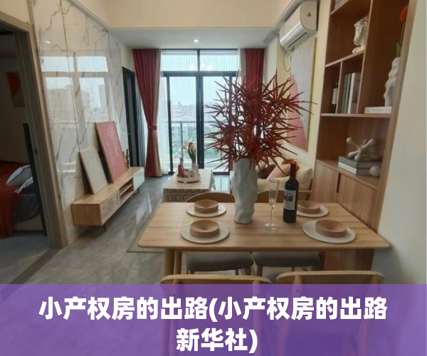 小产权房的出路(小产权房的出路 新华社) 小产权房的出路(小产权房的出路 新华社)