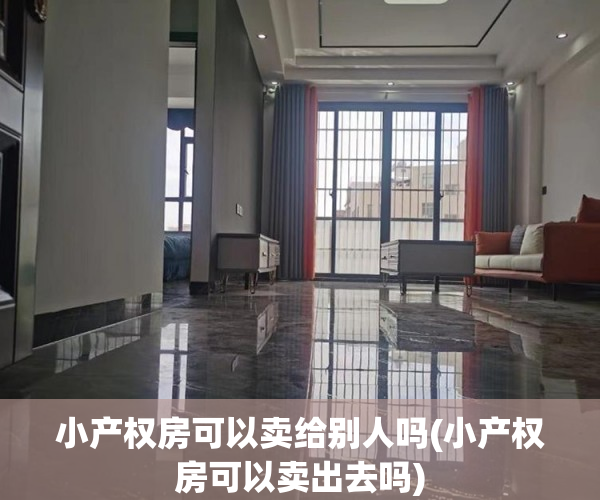 小产权房可以卖给别人吗(小产权房可以卖出去吗)