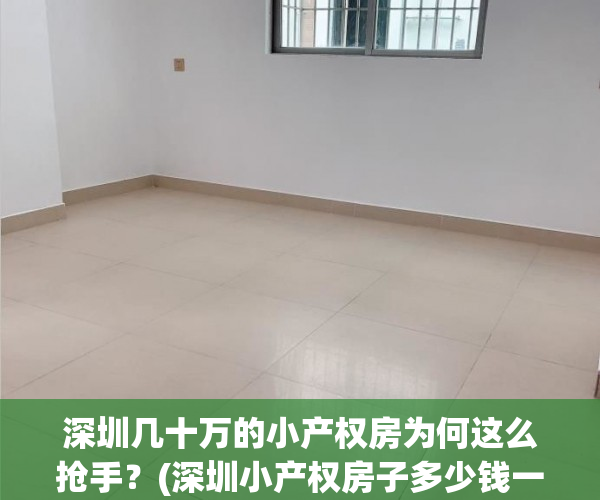 深圳几十万的小产权房为何这么抢手？(深圳小产权房子多少钱一平方)