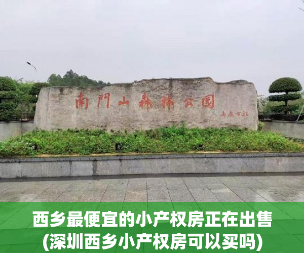 西乡最便宜的小产权房正在出售(深圳西乡小产权房可以买吗)