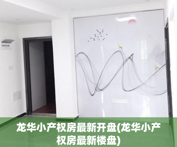 龙华小产权房最新开盘(龙华小产权房最新楼盘) 龙华小产权房最新开盘(龙华小产权房最新楼盘)