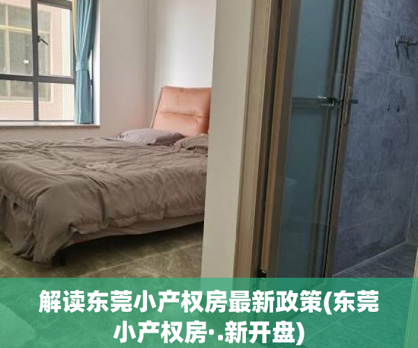 解读东莞小产权房最新政策(东莞小产权房·.新开盘)