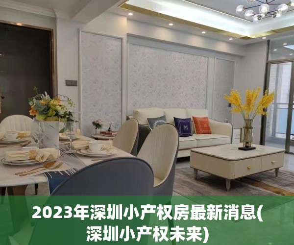 2023年深圳小产权房最新消息(深圳小产权未来)