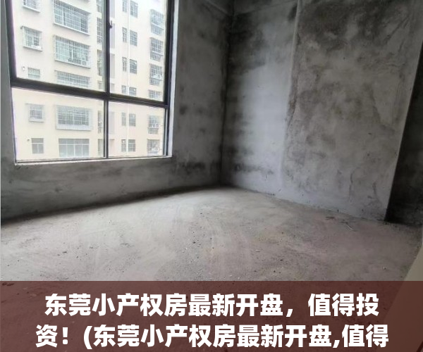 东莞小产权房最新开盘，值得投资！(东莞小产权房最新开盘,值得投资吗)