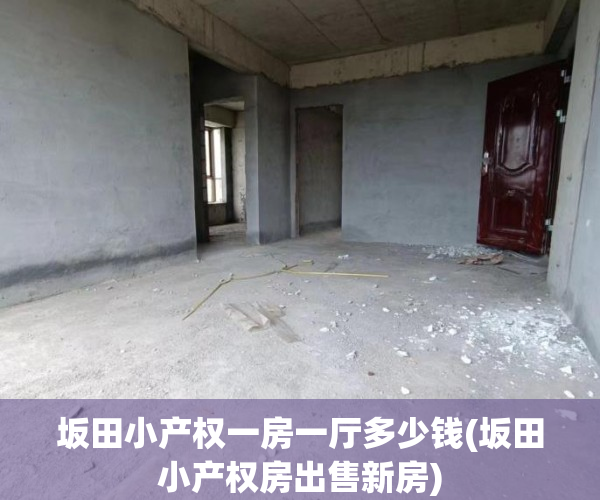 坂田小产权一房一厅多少钱(坂田小产权房出售新房) 坂田小产权一房一厅多少钱(坂田小产权房出售新房)