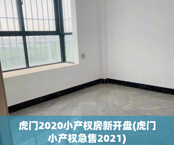虎门2020小产权房新开盘(虎门小产权急售2021)