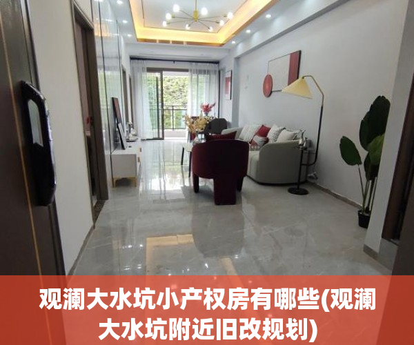 观澜大水坑小产权房有哪些(观澜大水坑附近旧改规划)