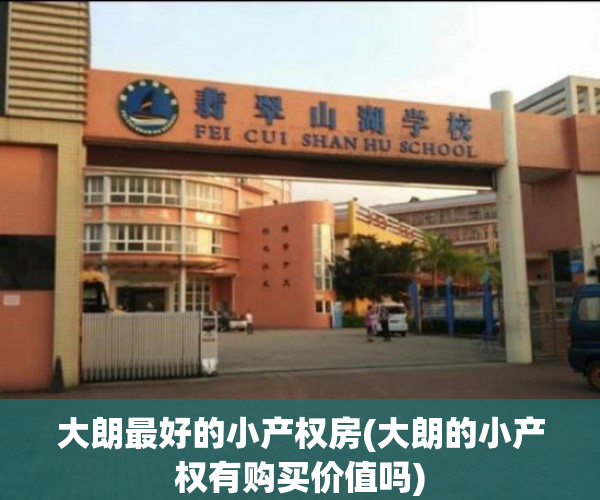 大朗最好的小产权房(大朗的小产权有购买价值吗)