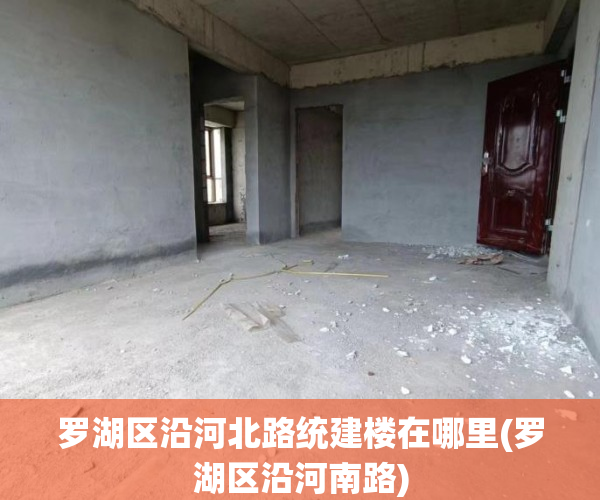 罗湖区沿河北路统建楼在哪里(罗湖区沿河南路)