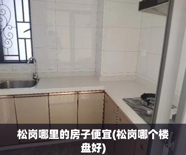 松岗哪里的房子便宜(松岗哪个楼盘好)