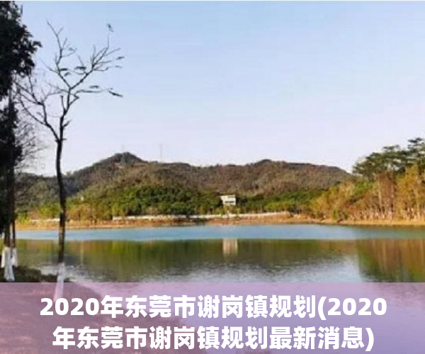 2020年东莞市谢岗镇规划(2020年东莞市谢岗镇规划最新消息)