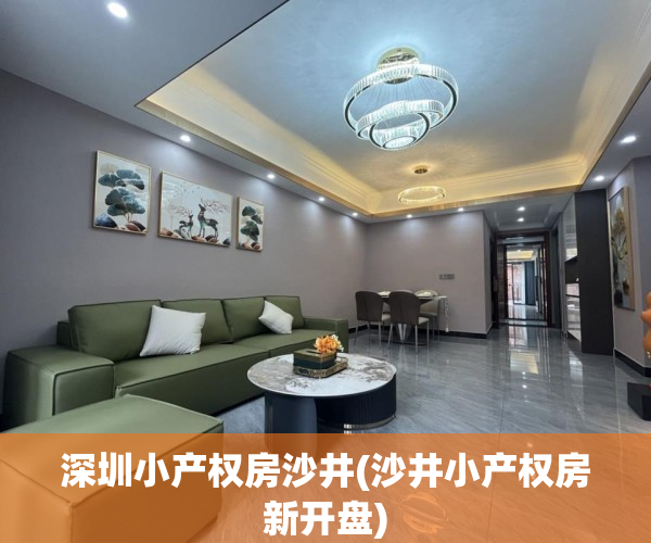 深圳小产权房沙井(沙井小产权房新开盘) 深圳小产权房沙井(沙井小产权房新开盘)