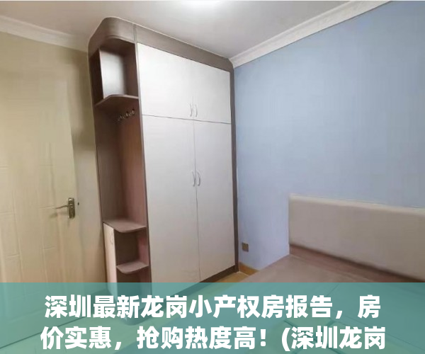 深圳最新龙岗小产权房报告，房价实惠，抢购热度高！(深圳龙岗小产权房政策)