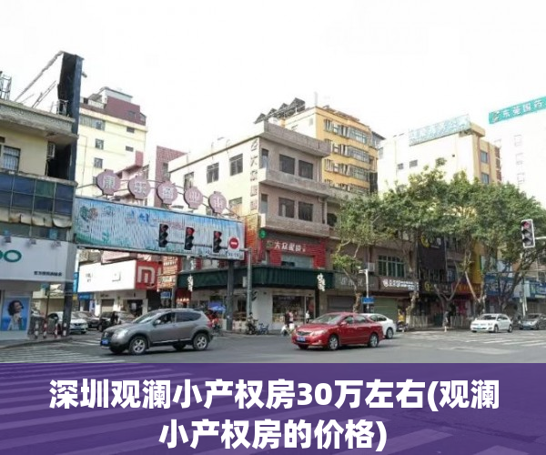 深圳观澜小产权房30万左右(观澜小产权房的价格)