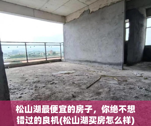 松山湖最便宜的房子，你绝不想错过的良机(松山湖买房怎么样)