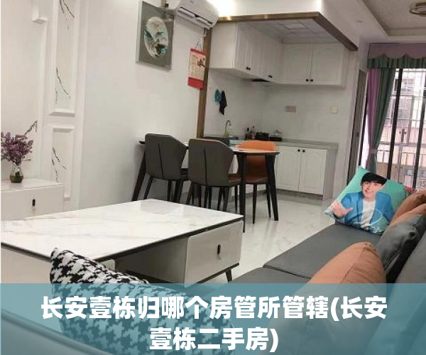 长安壹栋归哪个房管所管辖(长安壹栋二手房)