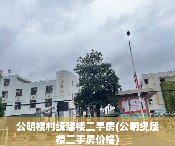 公明楼村统建楼二手房(公明统建楼二手房价格) 公明楼村统建楼二手房(公明统建楼二手房价格)