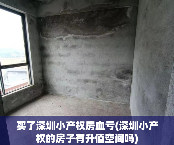 买了深圳小产权房血亏(深圳小产权的房子有升值空间吗) 买了深圳小产权房血亏(深圳小产权的房子有升值空间吗)