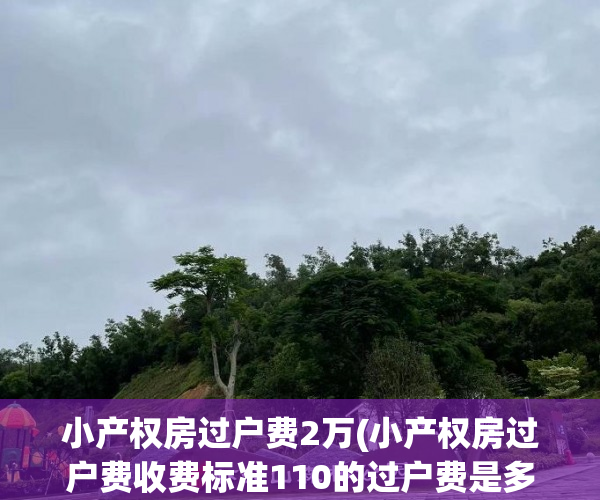 小产权房过户费2万(小产权房过户费收费标准110的过户费是多少)