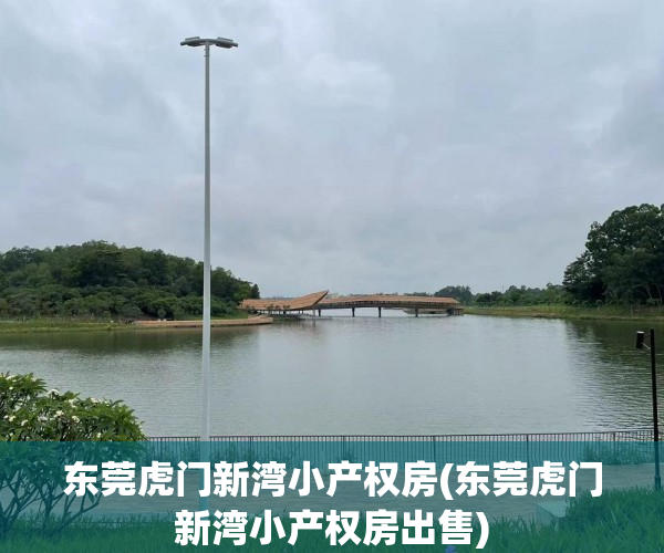 东莞虎门新湾小产权房(东莞虎门新湾小产权房出售)