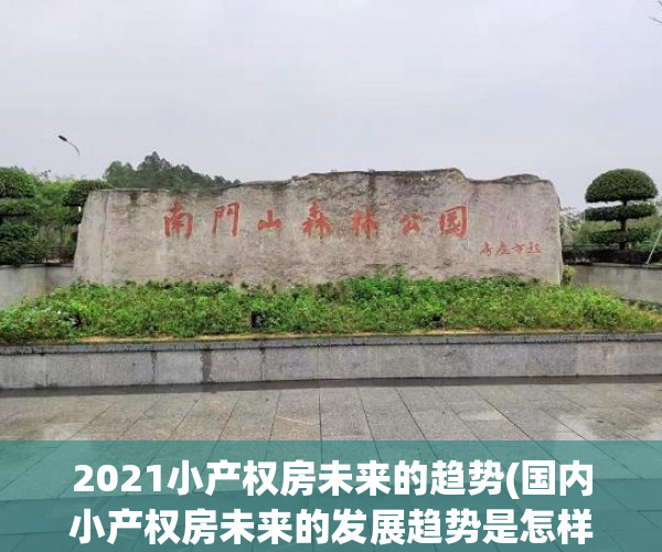 2021小产权房未来的趋势(国内小产权房未来的发展趋势是怎样的)