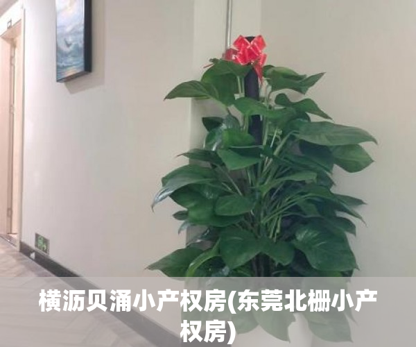 横沥贝涌小产权房(东莞北栅小产权房) 横沥贝涌小产权房(东莞北栅小产权房)